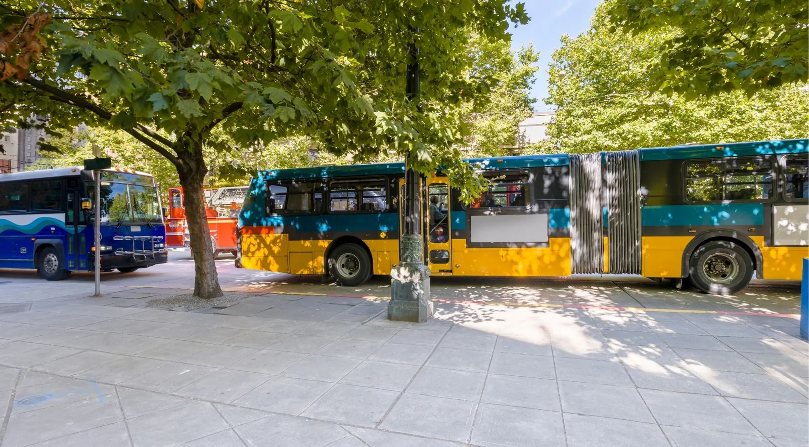 Seattle: City Sightseeing Hop-On Hop-Off Bus Tour